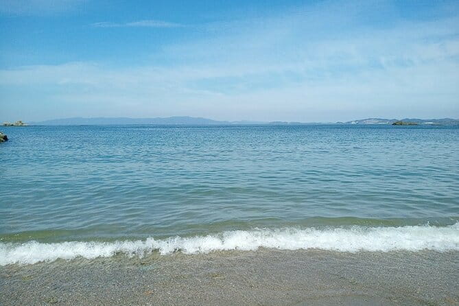 Historic Wakayama City Walking Tour - Accessibility and Customization