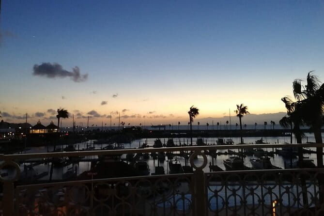 Historic Wakayama City Walking Tour - Important Considerations