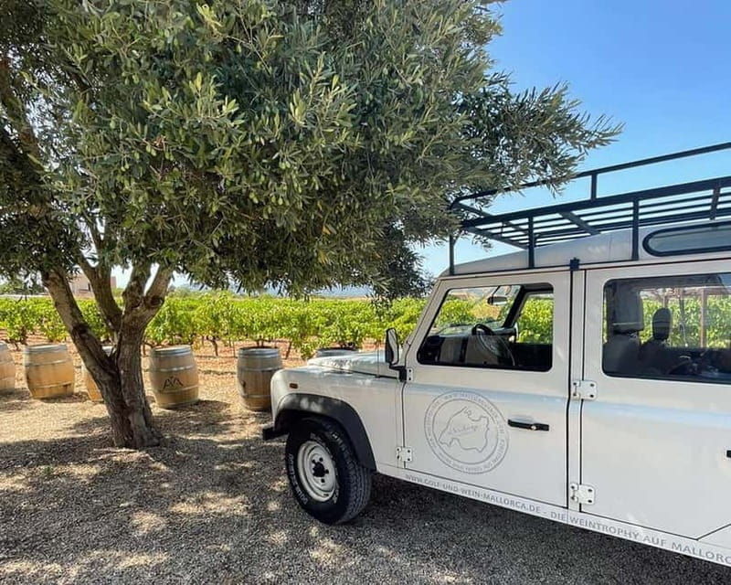 HISTORICAL BODEGA TOUR AND WINE TASTING - Entering Mallorca’s Wine World: What You Can Expect