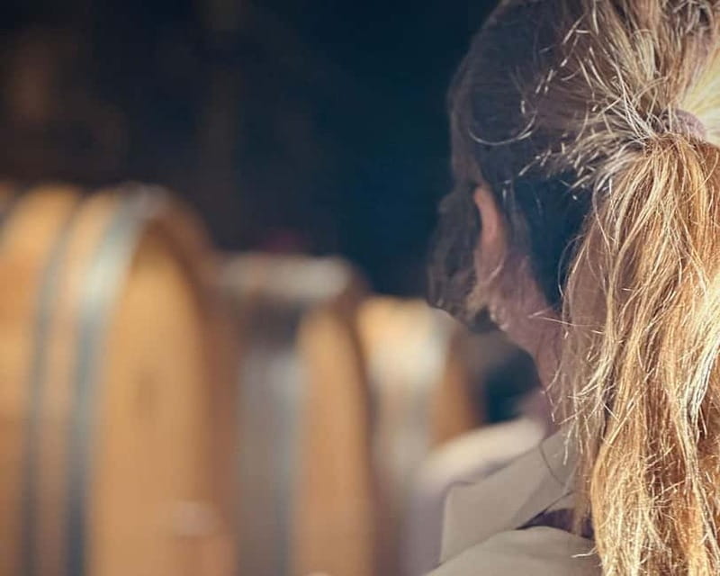 HISTORICAL BODEGA TOUR AND WINE TASTING - Final Thoughts: Is It Worth It?