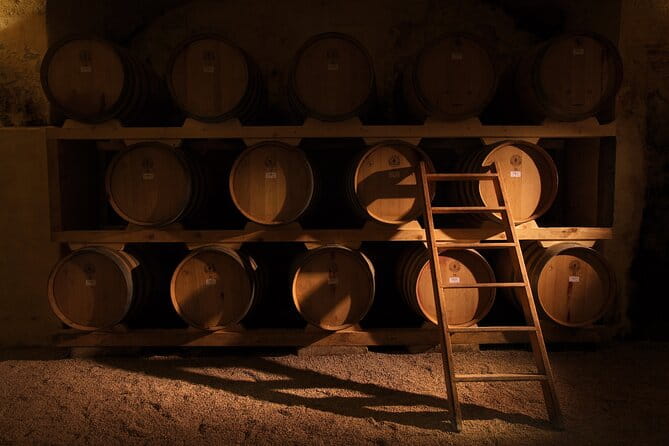 Historical Cellar Visit and Wine Tasting in Salento - Key Points