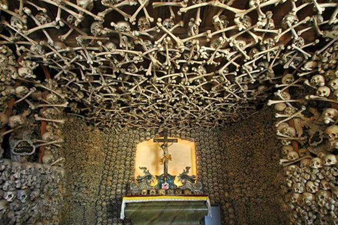 Historical Évora - PRIVATE Full Day Tour - Cork, Wine and Olive Oil Haven - Exploring Évora’s Historic Gems