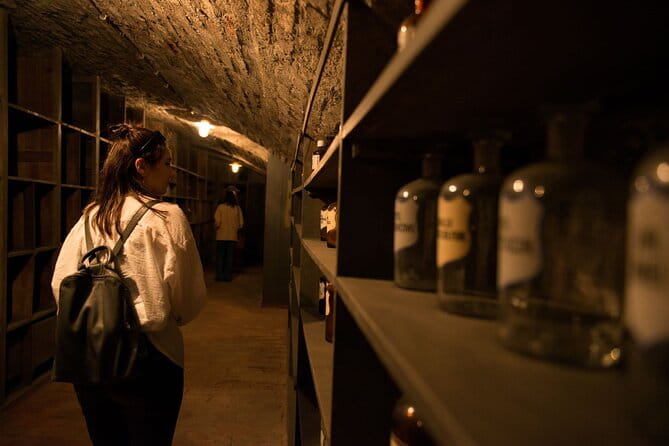 Historical Pharmacy Cellar Guided Tour - Exploring the Underground: What to Expect