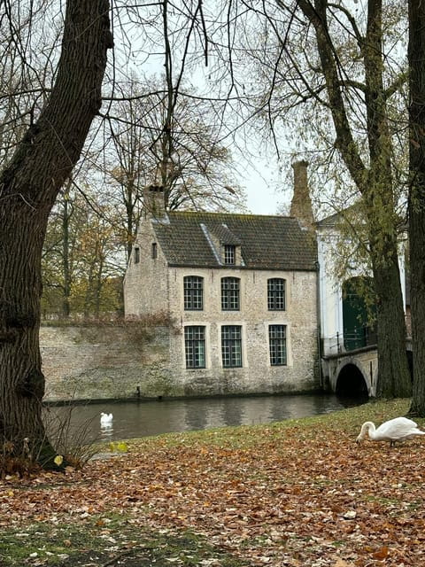 Historical walk in Bruges with local guide. Praline included - Who Will Love This Tour?