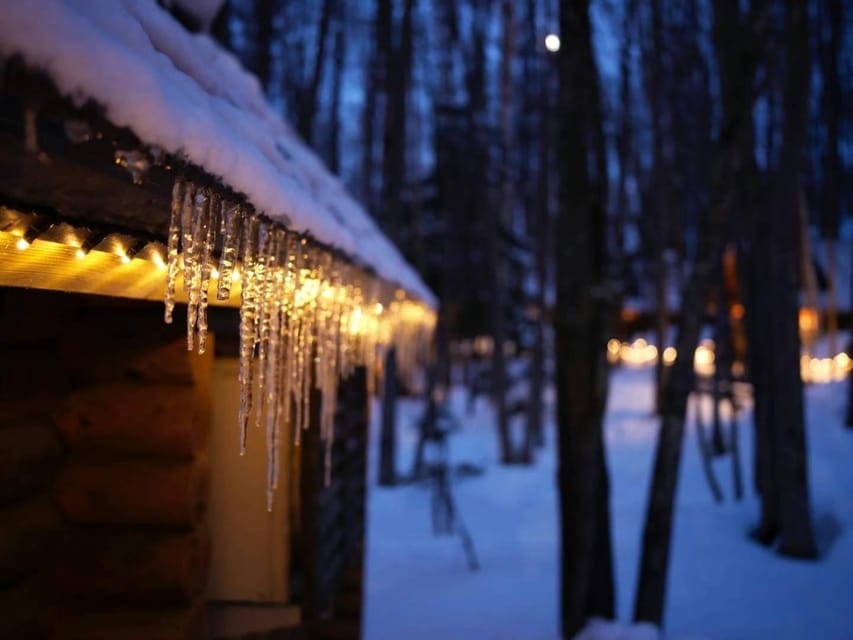 Hokkaido: Asahiyama Zoo, Biei, and Ningle Terrace Tour - Frequently Asked Questions