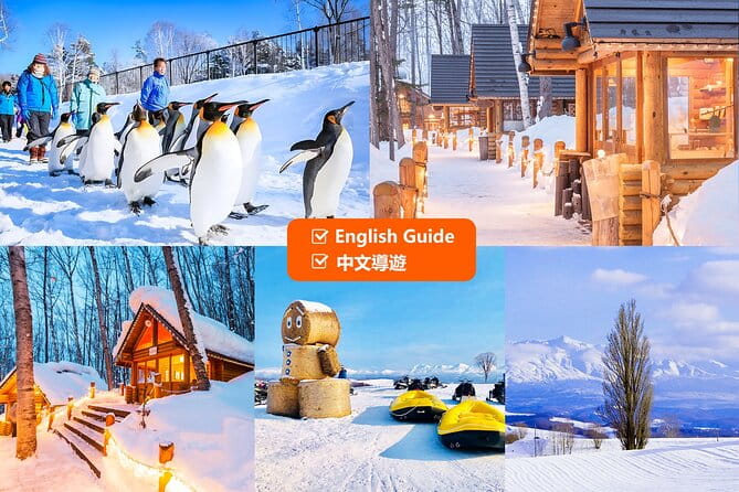 Hokkaido: Asahiyama Zoo, Furano, and Ningle Terrace Full Day Tour - Accessibility and Travel Considerations