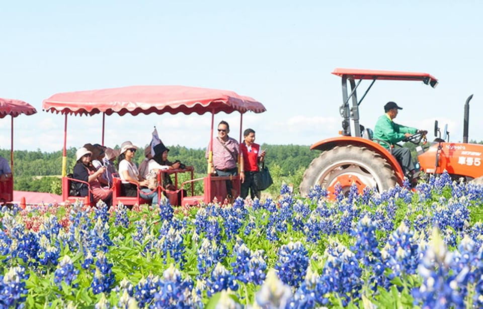 Hokkaido: Biei Blue Pond, Furano Flower Fields Review - Meal Options