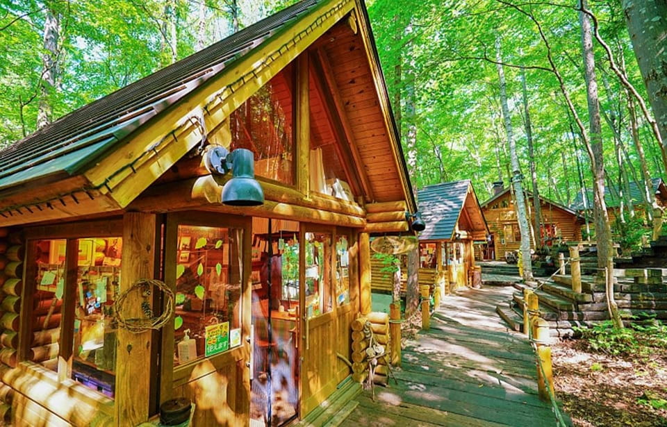 Hokkaido: Biei Blue Pond, Furano Flower Fields Review - Inclusions and Logistics