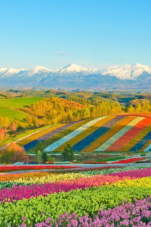 Hokkaido Biei Blue Pond Trip Review - Itinerary Highlights