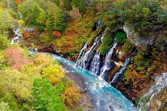 Hokkaido Day Tour From Sapporo: Asahiyama Zoo, Blue Pond Japan - Meeting Points and Itinerary