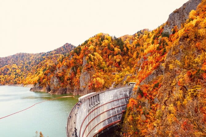 Hokkaido Jozankei Hoheikyo Dam Autumn Leaves Day Trip - Enjoying the Elegant Buffet Lunch