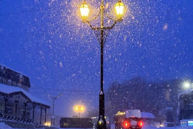 Hokkaido Otaru Private Full Day Tour (Depart From Sapporo) - Inclusions and Transportation Details