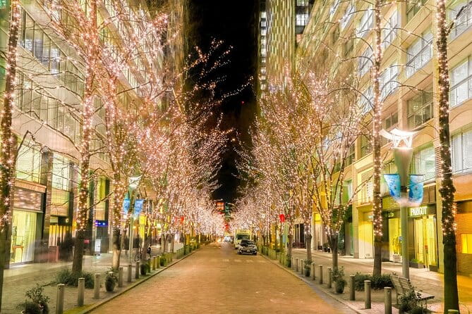 Holiday Lights Walk Tour Hibiya Midtown Tokyo Station Marunouchi - Accessibility and Participation
