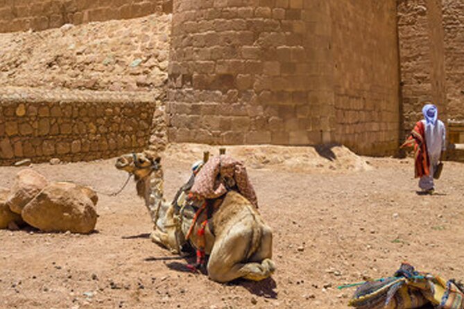 Holy Mount Sinai Climb & St Catherine Monastery - Hiking to the Summit of Mount Sinai