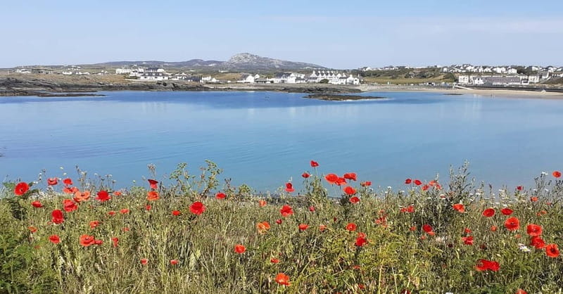 Holyhead: Holy Island Anglesey Coastal Hike - Key Points / Takeaways