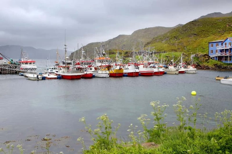 Honningsvåg: North Cape Guided Tour with Entry Ticket - FAQ