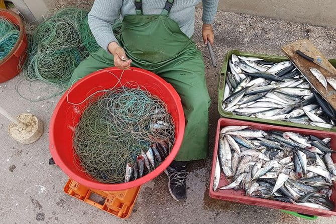 Hooked on Sesimbra - Key points / Takeaways