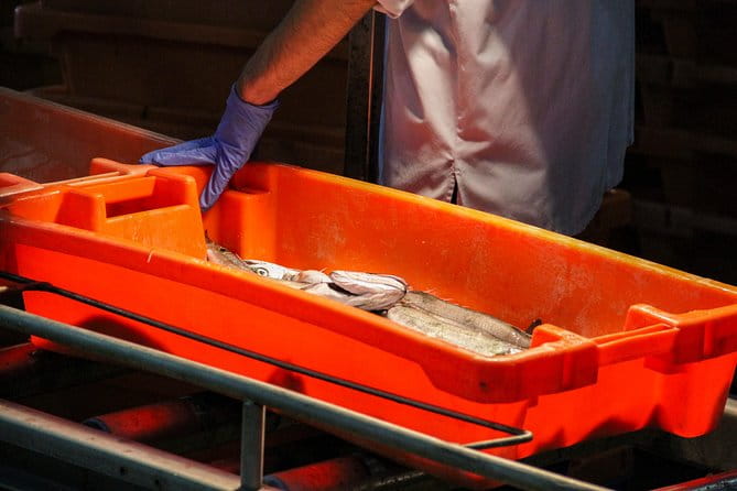 Hooked on Sesimbra - Frequently Asked Questions