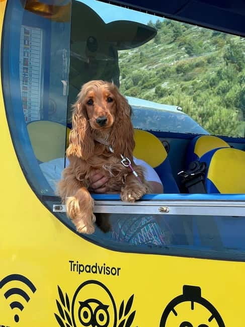 Hop-On Hop-Off Yellow Cabrio Tour: See Dubrovnik in 90mins - Frequently Asked Questions