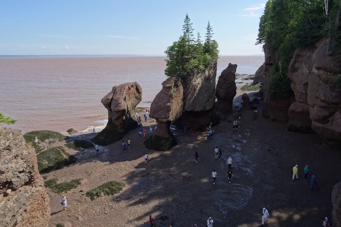 Hopewell Rocks Express Tour From Moncton - Highlights of the Hopewell Rocks