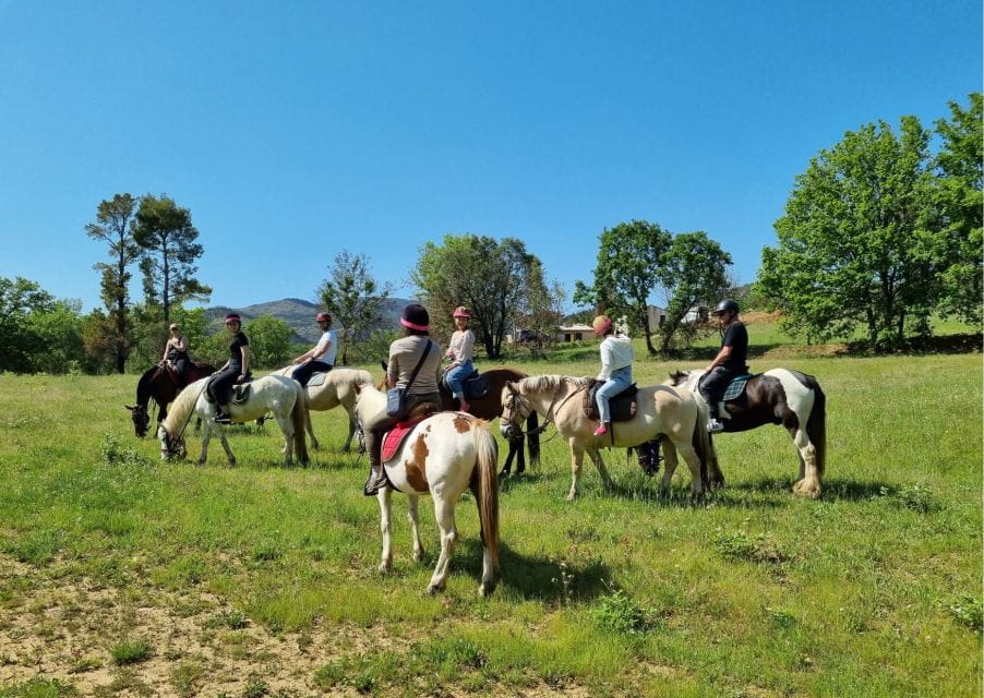 Horse Back Riding + Wine Tasting in the Maures Forest - Accessibility and Restrictions