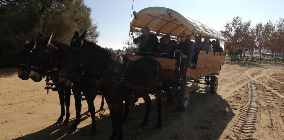Horse-Drawn Carriage Route Through Doñana Park and The Villa - Key Points
