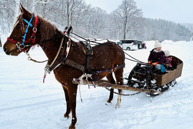 Horse-Drawn Sleigh & Making Local Cuisine - Savoring the Local Cuisine