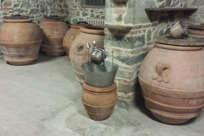 Horse Ride, Olive Oil and Local Foods Tasting in a Tuscan Farm - Olive Oil Tasting and Pairing