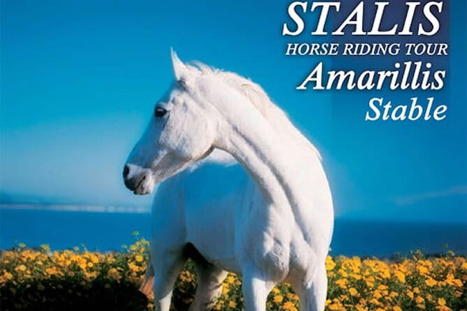 HORSE RIDING 1.5 hours mountains from area Hersonissos CRETE - Key points / Takeaways