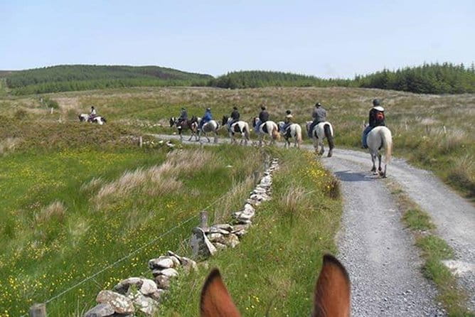 Horse riding - Burren Trail. Lisdoonvarna, Co Clare. Guided. 3 hours. - The Practicalities and Considerations