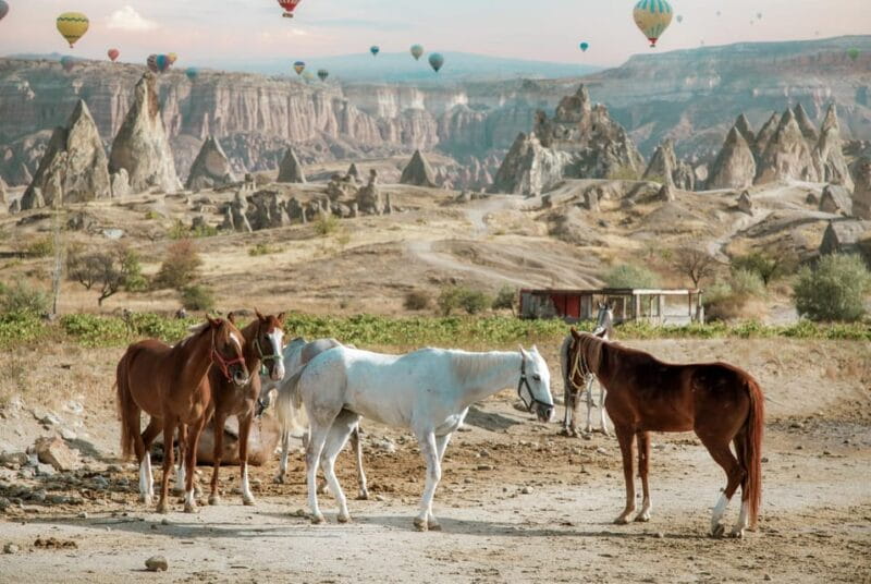 Horse Riding Cappadocia- Cappadocia Horse Farm - The Itinerary: What to Expect at Each Step
