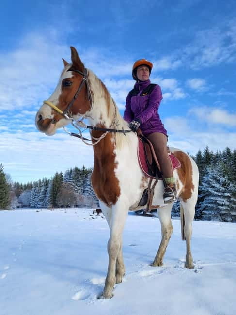 Horse Riding Day Trip in the Rila Mountain - Key Points / Takeaways