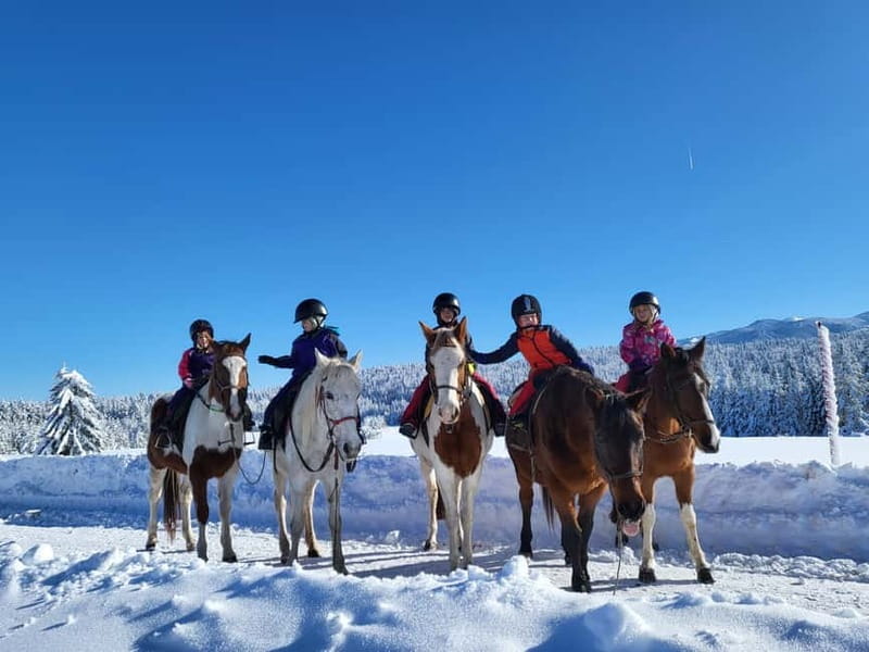 Horse Riding Day Trip in the Rila Mountain - Starting the Day: From Sofia to the Mountains