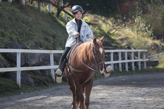 Horse Riding Experience in Nature Rich Lake Shirakaba - Meeting Point and Directions