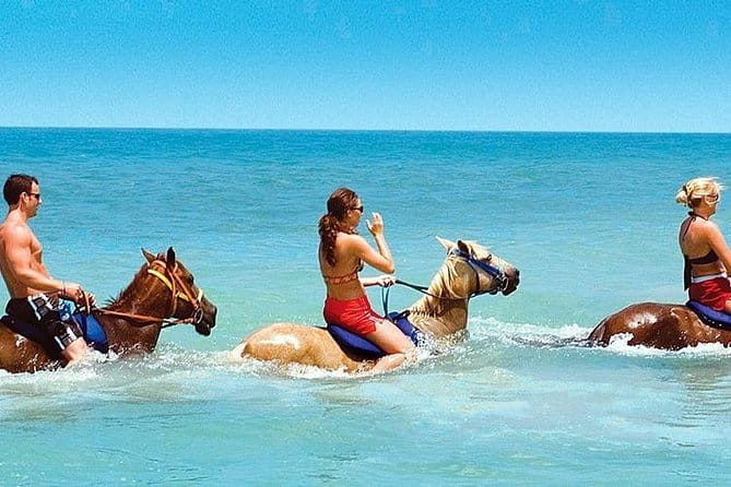 Horse Riding From Kusadasi Port / Hotels - In-Depth Review of the Horse Riding Experience in Kusadasi