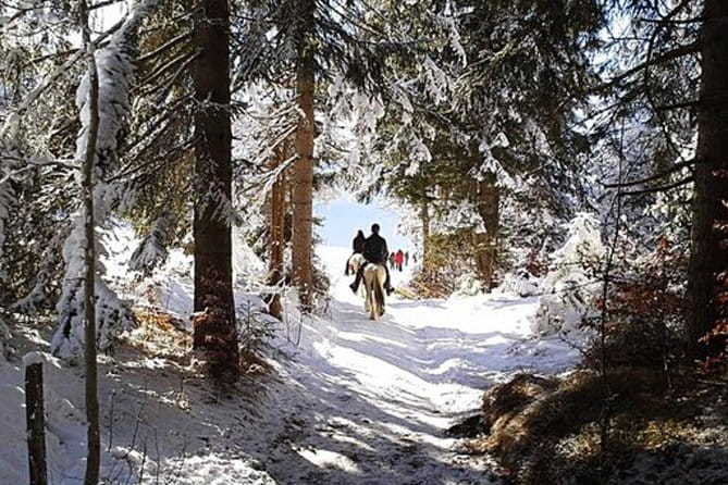 Horse Riding in Bled - Key Points / Takeaways