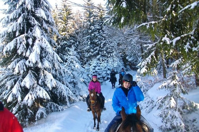Horse Riding in Bled - Who Should Consider This Tour?