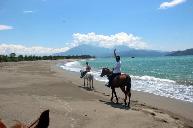 Horse Riding in Fethiye - Final Thoughts: Is Horseback Riding in Fethiye Worth It?