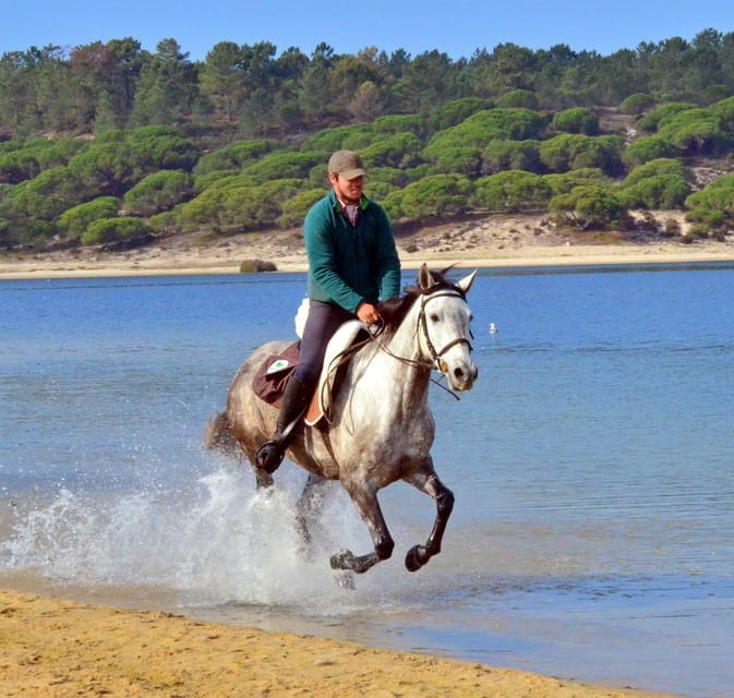 Horse riding in the Valley, near Lisbon - Intro: Exploring Lisbon’s Nearby Wilderness on Horseback
