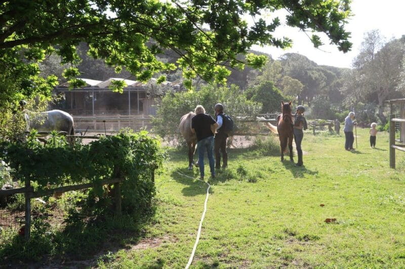 Horse riding in the Valley, near Lisbon - Discovering the Natural Park of Arrabida and Its Trails