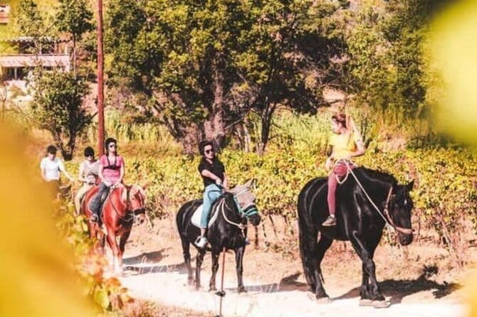 Horse riding in the vineyards of Grimaud + wine tasting - Discovering the Charm of Horse Riding in Grimaud’s Vineyards