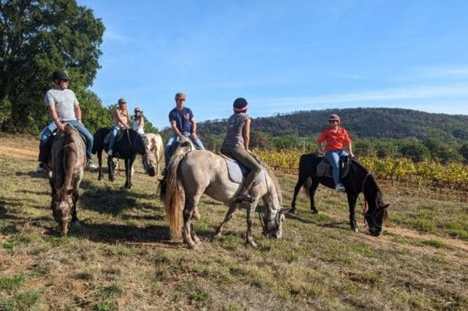 Horse riding in the vineyards of Grimaud + wine tasting - Key points / Takeaways