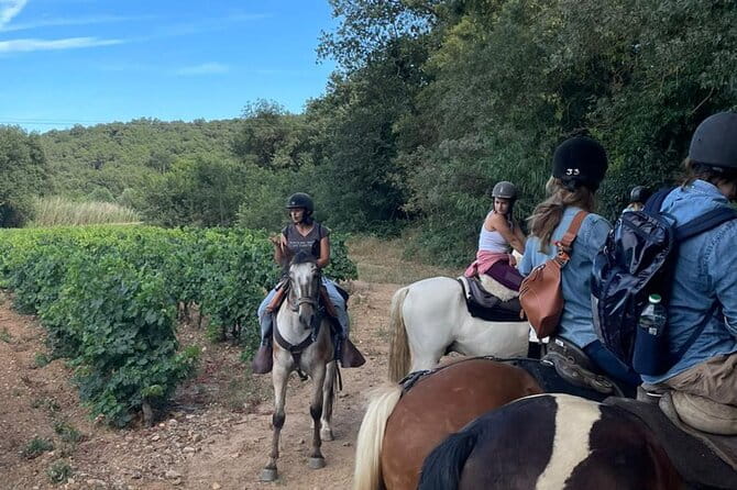 Horse riding in the vineyards of Grimaud + wine tasting - Price and Logistics: Good Value for a Unique Experience
