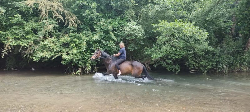 Horse Riding in Tuscany for Experienced Riders: Full-day Trail Ride - Exploring Tuscany on Horseback: What to Expect