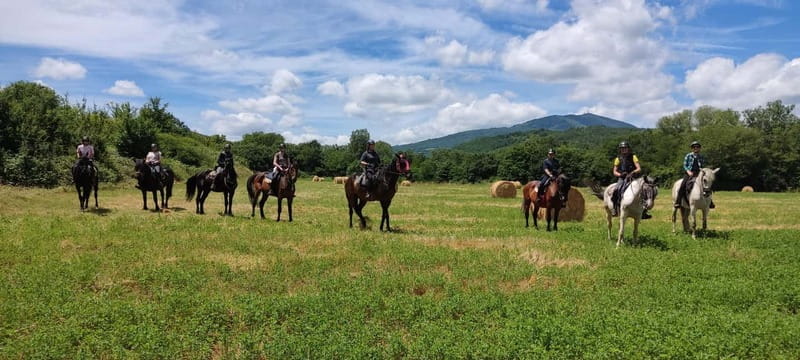Horse Riding in Tuscany for Experienced Riders: Full-day Trail Ride - Price, Logistics & Value