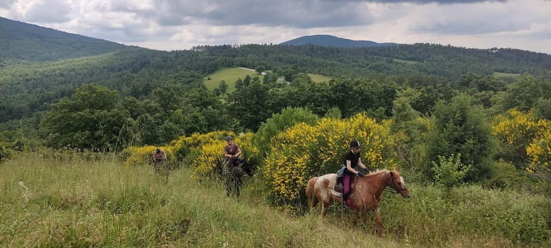 Horse Riding in Tuscany for Experienced Riders: Full-day Trail Ride - FAQ