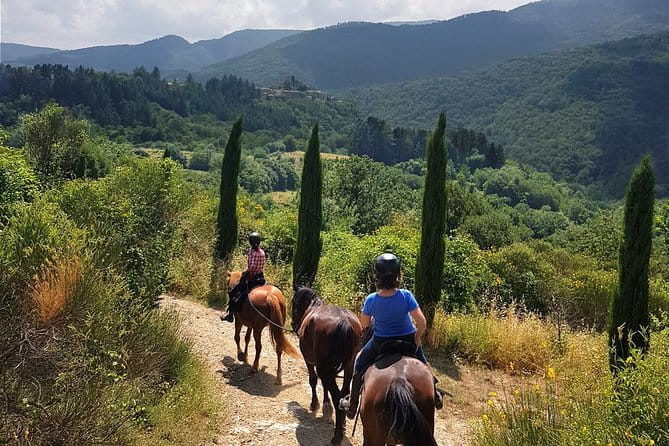 Horse Riding in Tuscany for Experienced Riders: Full-day Trail Ride - Key Points