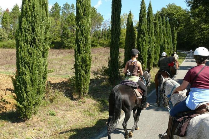 Horse Riding in Tuscany for Experienced Riders: Full-day Trail Ride - What to Expect on Your Horseback Journey in Tuscany