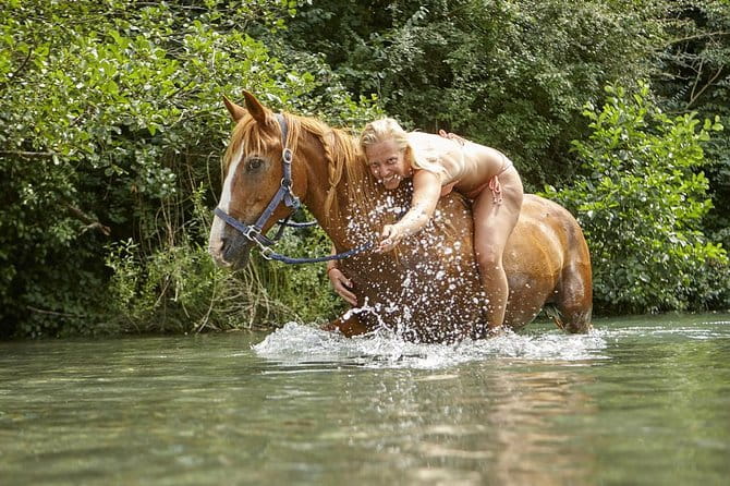 Horse Riding in Tuscany for Experienced Riders: Full-day Trail Ride - Final Thoughts: Who Should Book This Tour?