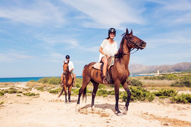 Horse Riding Morning Ride in Paros - Participation Requirements